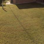 GOLDEN LACE B & B - ACT Tourism 0