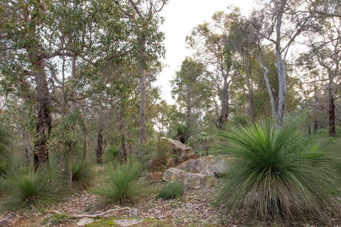 A Hidden Bush Delight - ACT Tourism 6