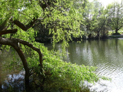 Lakeview On Sycamore - ACT Tourism 1