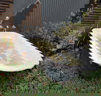 William Hunts Retreat Cypress Studio - ACT Tourism