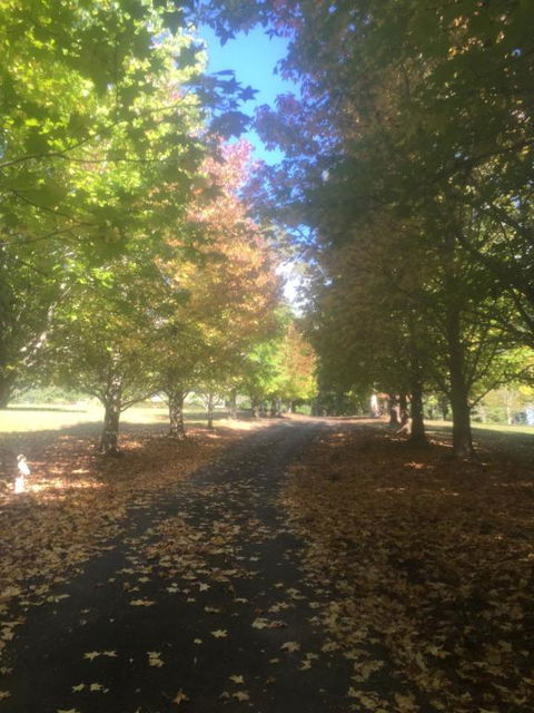 A Peaceful Cabin In The Country - ACT Tourism 2