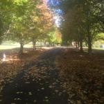 A Peaceful Cabin In The Country - ACT Tourism 0