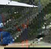 Blackwattle at Barrington Tops - ACT Tourism