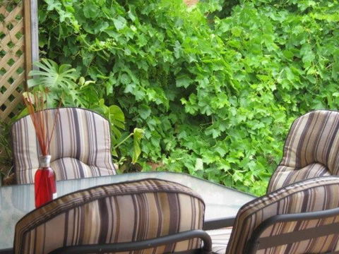 Amalie Cottage Waikerie Unit 1 - ACT Tourism 6