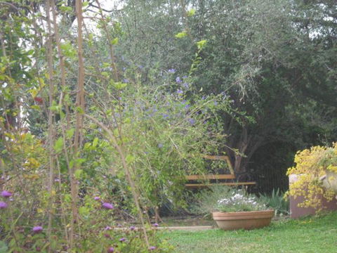 Amalie Cottage Waikerie Unit 1 - ACT Tourism 5