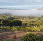 Pecan Hill BNB - ACT Tourism