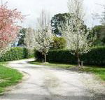 Robin Hill Manor rambling retreat  tennis court - ACT Tourism