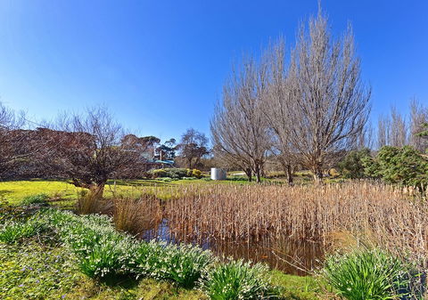 Ventnor Guest House - ACT Tourism 6