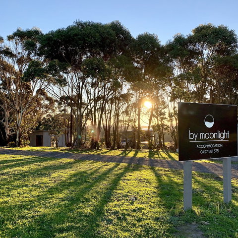 By Moonlight - ACT Tourism 1