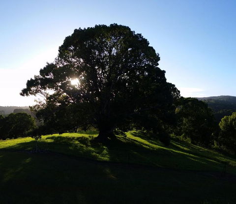 Valleydale Cottage - ACT Tourism 1