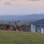 Rooks Edge - ACT Tourism 0