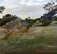 Young Budget Accommodation - ACT Tourism