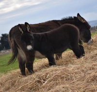 Malakai Farm Stay - ACT Tourism