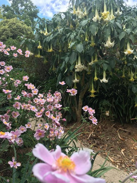 Adelaide Hills B & B Accommodation - ACT Tourism 6