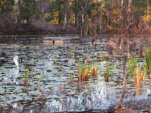 The Summit 1770 - ACT Tourism 3