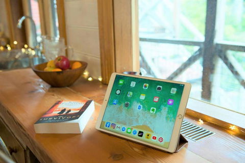 Adelaide Hills Camellia Cottage WiFi - ACT Tourism 4