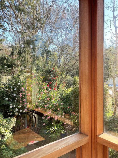 Adelaide Hills Camellia Cottage WiFi - ACT Tourism 6