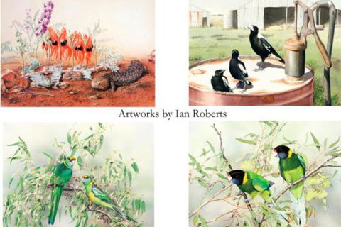 Windmill Cottage - ACT Tourism 3