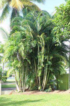 Yamacutta House - ACT Tourism 1