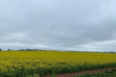 Apollo Motel Parkes - ACT Tourism 2