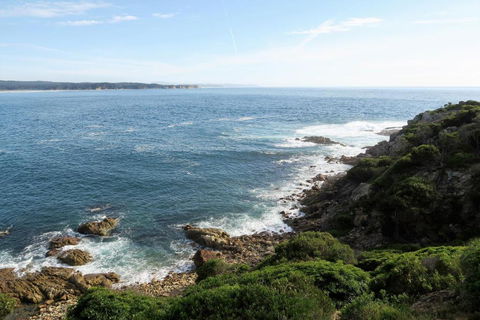 Tathra Hotel & Motel - ACT Tourism 5