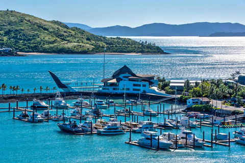 Uisce Luxury Holiday House With Jacuzzi Pool Table Cinema Premium Foxtel & Two Buggies - ACT Tourism 2