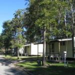 Tall Timbers Caravan Park Kempsey - ACT Tourism 0