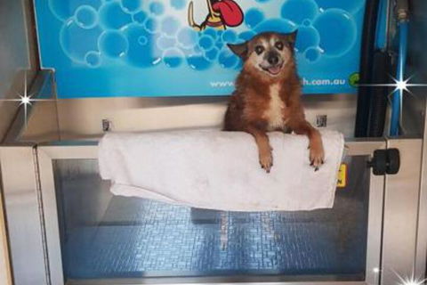 Apex RiverBeach Holiday Park - ACT Tourism 4