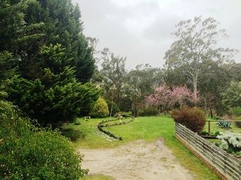 Acacia House Retreat Daylesford - ACT Tourism 1