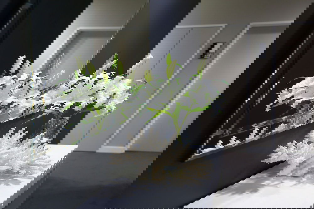 Augustine Heights QLD ACT Tourism