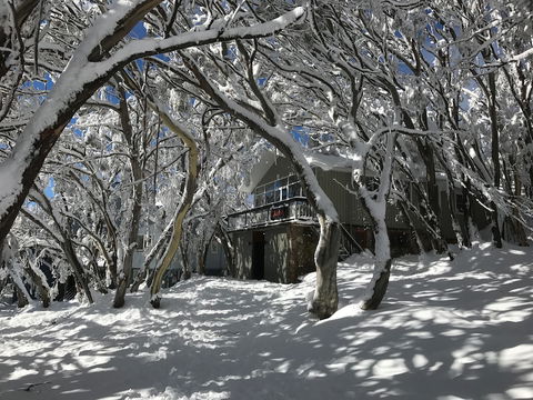 Amber Lodge Mt Buller - Hostel - ACT Tourism 2