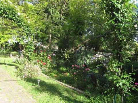 Westella Colonial B&B - ACT Tourism 6