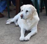 Nazaaray Beach House - ACT Tourism