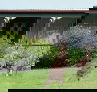 Cedar Lodge Cabins - ACT Tourism