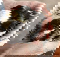 Margaret River Hideaway - ACT Tourism