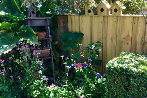 Aggies Bed & Breakfast - ACT Tourism 7