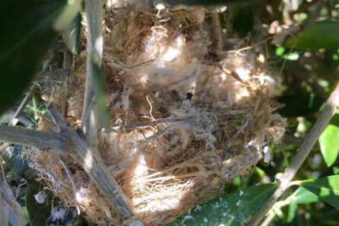 Aggies Bed & Breakfast - ACT Tourism 2