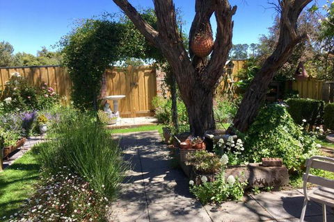 Aggies Bed & Breakfast - ACT Tourism 5