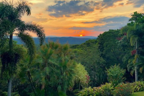 Daintree Manor Bed & Breakfast - ACT Tourism 0