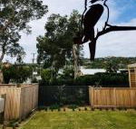 Pacific Terraces 2 38 Pacific Street - ACT Tourism