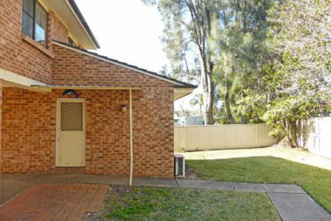Dolphins Delight At Culburra Beach - ACT Tourism 5
