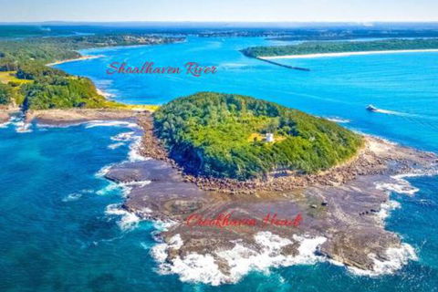 Dolphins Delight At Culburra Beach - ACT Tourism 4