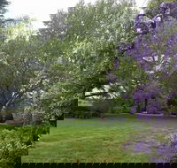 Petersons Armidale Winery  Guesthouse - ACT Tourism