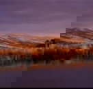 Wombat Hills Cottages - ACT Tourism