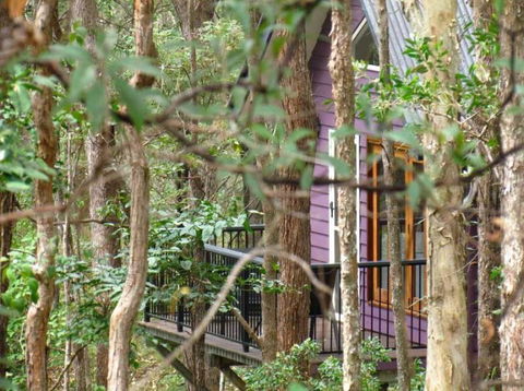 Amytis Gardens Retreat & Day Spa - ACT Tourism 1
