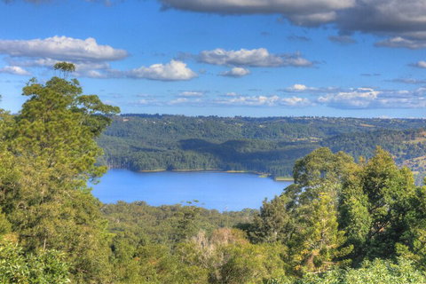 Montville Misty View Cottages - ACT Tourism 1