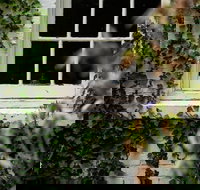 Fitzpatrick's Inn - ACT Tourism