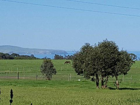 Dees Villa Bed & Breakfast - ACT Tourism 4