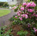 Anabels of Scottsdale - ACT Tourism