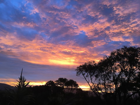 Bed & Breakfast At Kiama - ACT Tourism 3